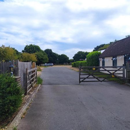 Garden Flat At The Infamous Piltdown Man Pub Apartment Fletching Luaran gambar